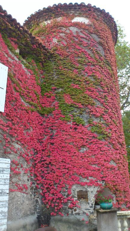 Chateau De Mauras Chomérac Esterno foto